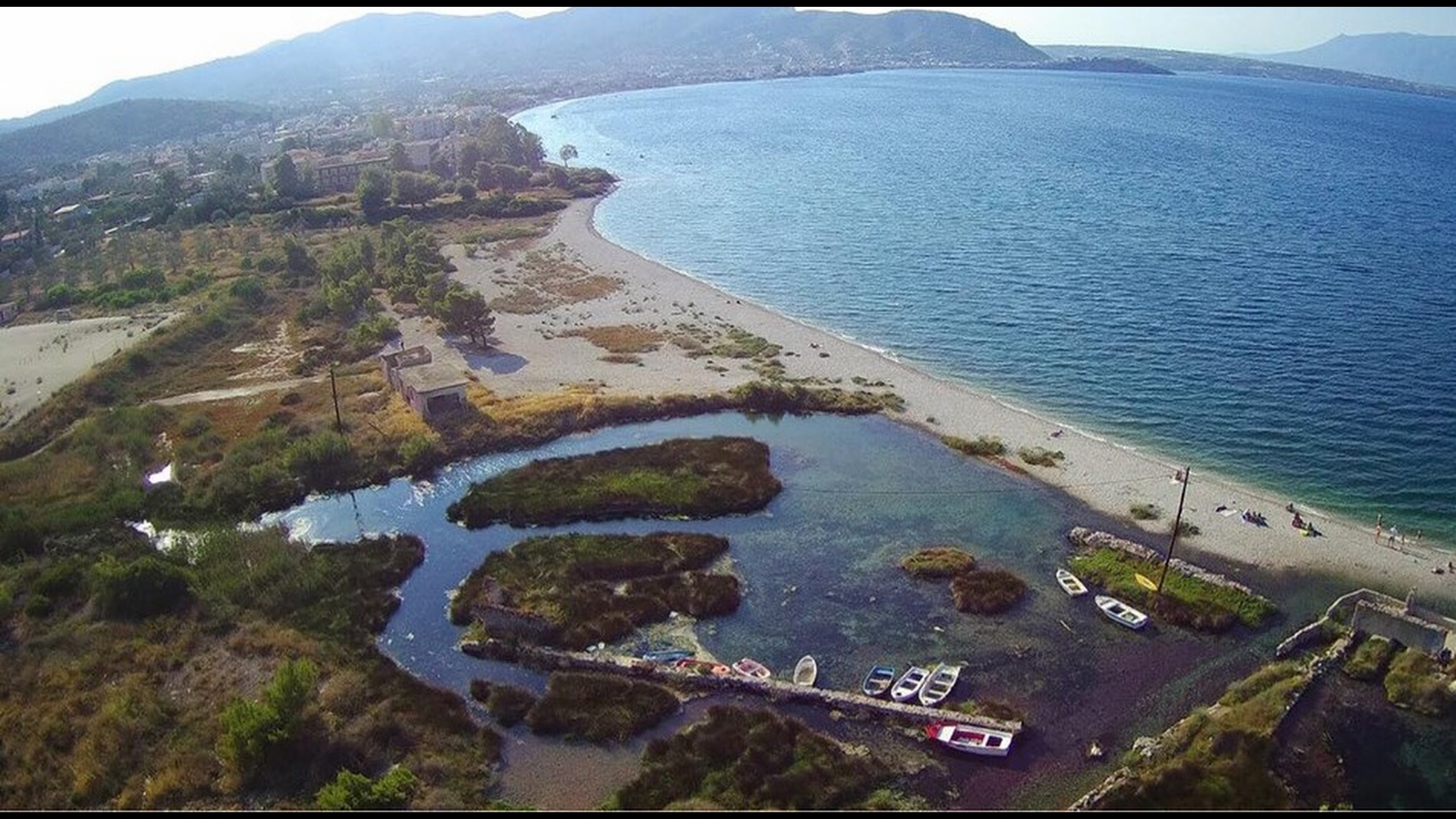 Panotamiki-pigi.jpg