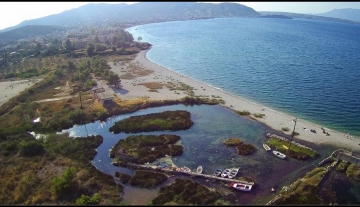 Panotamiki-pigi.jpg