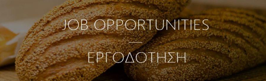 &Epsilon;&rho;&gamma;&omicron;&delta;ό&tau;&eta;&sigma;&eta;