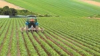 &Mu;έ&tau;&rho;&omicron; &Alpha;&gamma;&rho;&omicron;&tau;&iota;&kappa;ή&sigmaf; &Mu;&epsilon;&tau;&alpha;&pi;&omicron;ί&eta;&sigma;&eta;&sigmaf; &tau;&omicron;&upsilon; &Pi;&Alpha;&Alpha;  (&pi;&rho;ώ&eta;&nu; 4.2.1.)