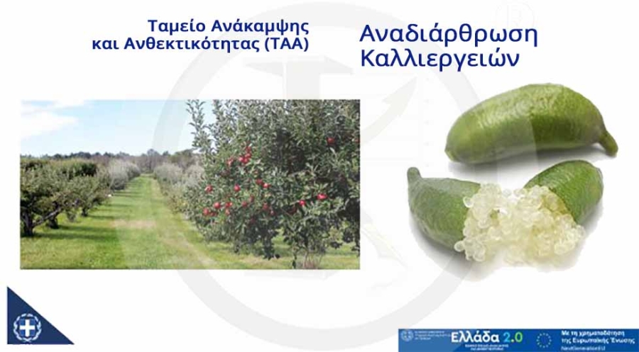 &Alpha;&nu;&alpha;&delta;&iota;ά&rho;&theta;&rho;&omega;&sigma;&eta; &kappa;&alpha;&lambda;&lambda;&iota;&epsilon;&rho;&gamma;&epsilon;&iota;ώ&nu; - (&Tau;&Alpha;&Alpha;) &Tau;&alpha;&mu;&epsilon;ί&omicron; &Alpha;&nu;ά&kappa;&alpha;&mu;&psi;&eta;&sigmaf; &kappa;&alpha;&iota; &Alpha;&nu;&theta;&epsilon;&kappa;&tau;&iota;&kappa;ό&tau;&eta;&tau;&alpha;&sigmaf;