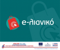 &Epsilon;&Sigma;&Pi;&Alpha; &gamma;&iota;&alpha; &delta;&eta;&mu;&iota;&omicron;&upsilon;&rho;&gamma;ί&alpha; e-shop 5000&euro;, 100% &Epsilon;&pi;&iota;&delta;ό&tau;&eta;&sigma;&eta; &laquo;e-&lambda;&iota;&alpha;&nu;&iota;&kappa;ό&raquo;